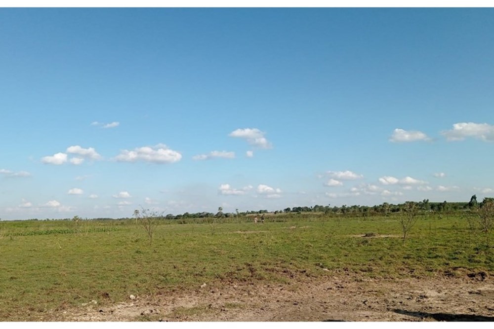 Terreno de 7 hectáreas en venta en Benjamín Aceval