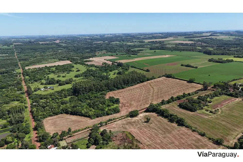 Terreno de 7 hectáreas en venta en Capitán Miranda, Itapúa