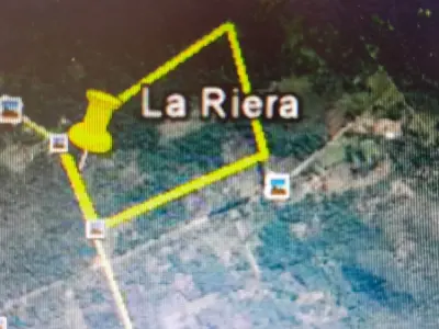 7-Hectare Land for Sale in San Bernardino — On Luque-San Bernardino Highway