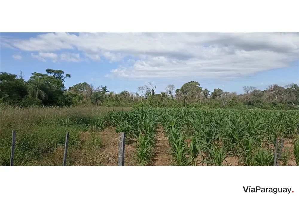 70-hectare land for sale in Mbuyapey, Paraguarí