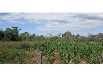 70-hectare land for sale in Mbuyapey, Paraguarí