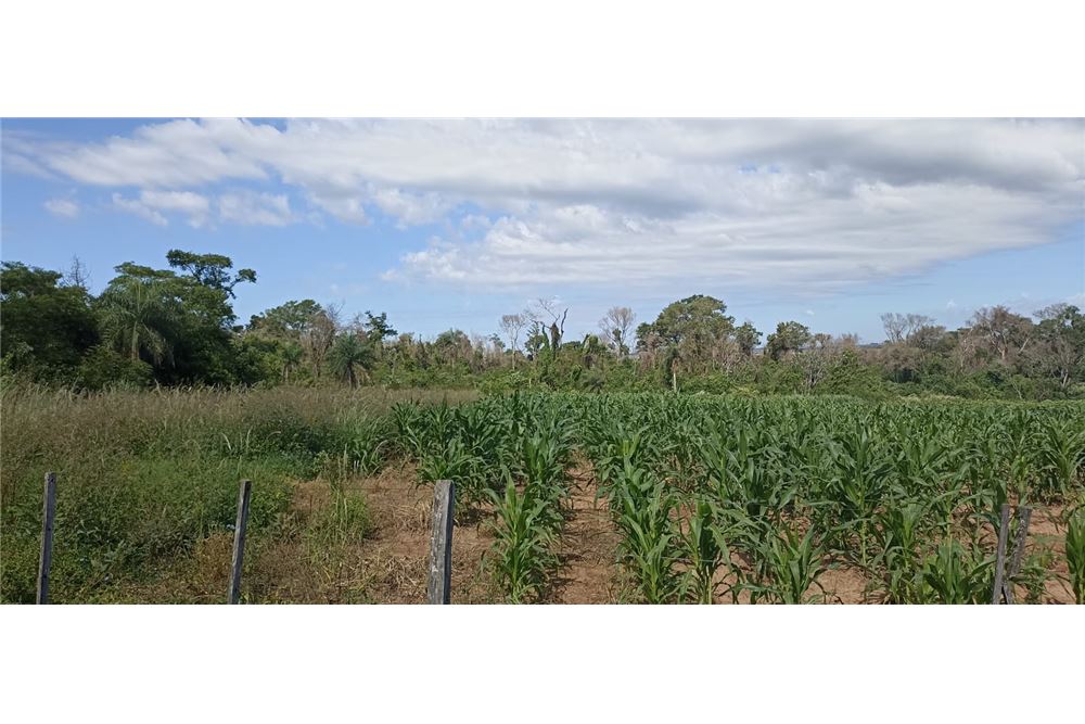 70-hectare land for sale in Mbuyapey, Paraguarí