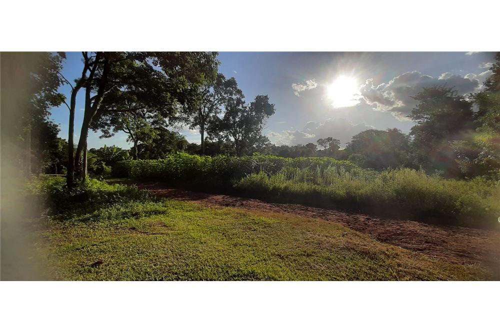 8 ha land for sale in Chaipé, Encarnación