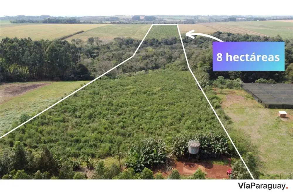 Terreno de 8 hectares à venda em Natalio, Itapúa