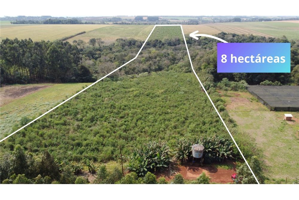 8-hectare land for sale in Natalio, Itapúa