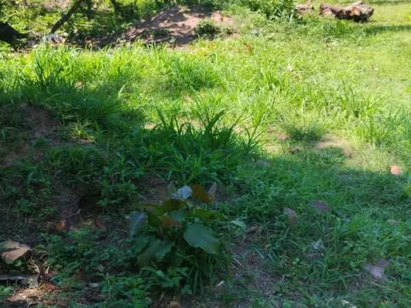 Terreno de 825 m² en venta en Areguá – barrio Yukyry