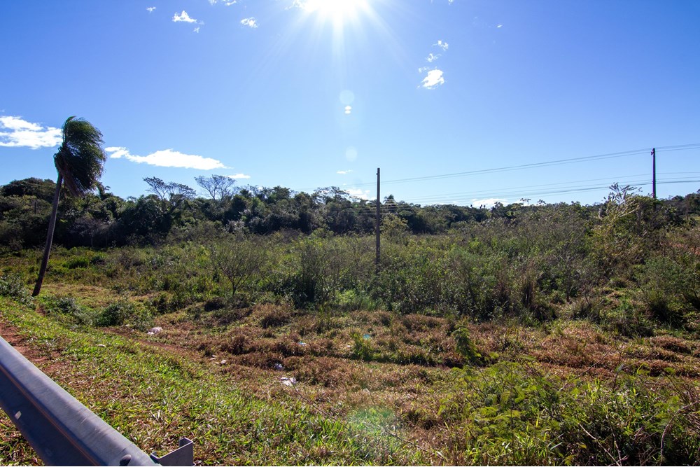 Terreno de 8,5 hectáreas en venta en Coronel Oviedo, Caaguazú
