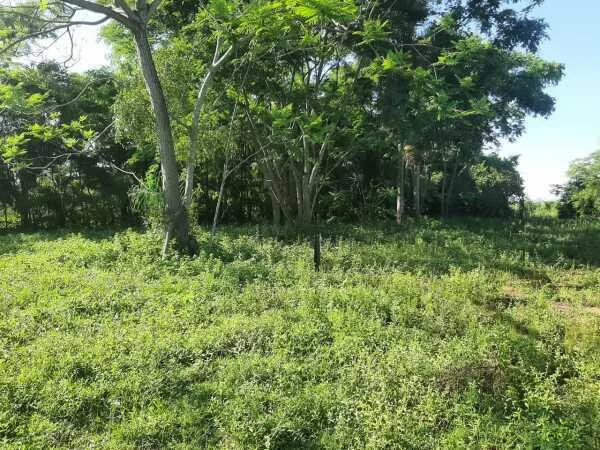 Terreno de 8.640 m² à venda em Emboscada, Cordillera
