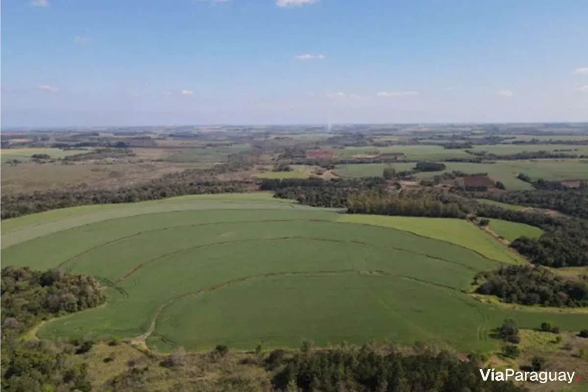 87-hectare land for sale in Fram, Itapúa