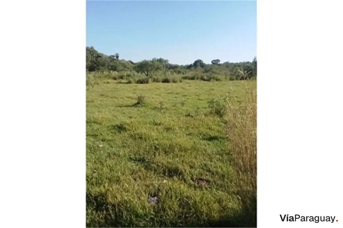 Terreno de 9 hectáreas en venta en Coronel Bogado