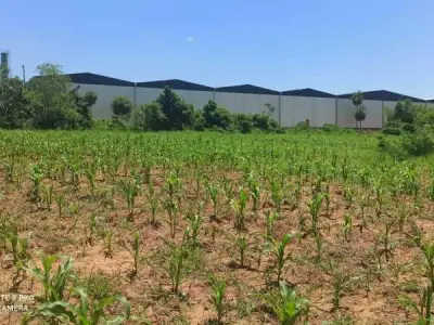 Terreno de 9 hectares à venda em Curupicayty, Itá