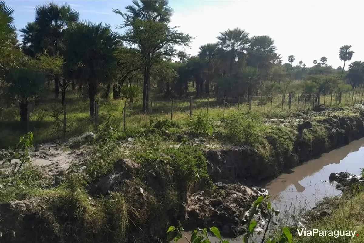 Terreno à venda em Tacuaras, Ñeembucú