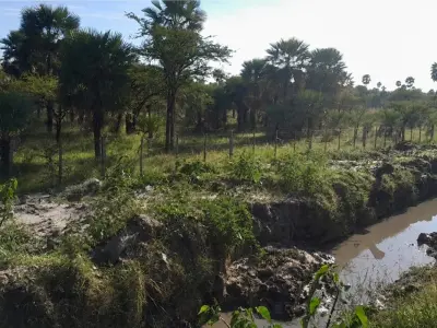 Terreno à venda em Tacuaras, Ñeembucú