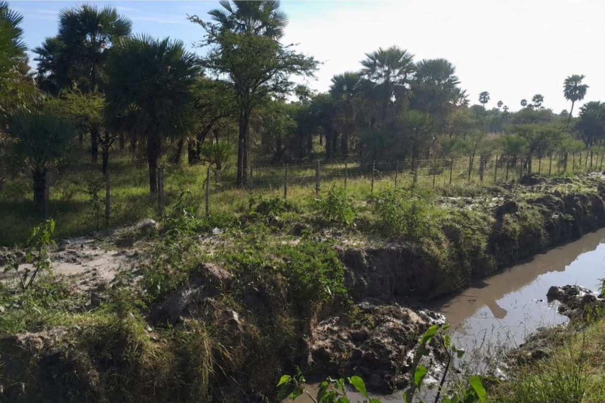 Land for sale in Tacuaras, Ñeembucú