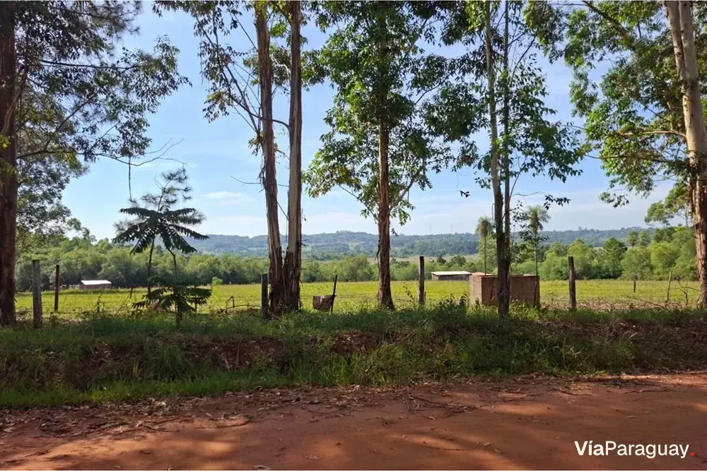 Terreno de quase 6 hectares à venda em Jesús, Itapúa