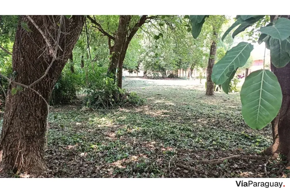 Terreno para alugar de 555 m² em Cambyretá, Itapúa
