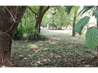 Terreno para alugar de 555 m² em Cambyretá, Itapúa