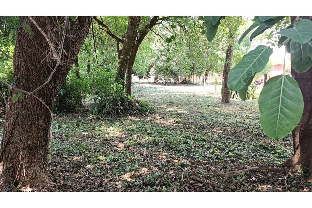 Terreno para alugar de 555 m² em Cambyretá, Itapúa