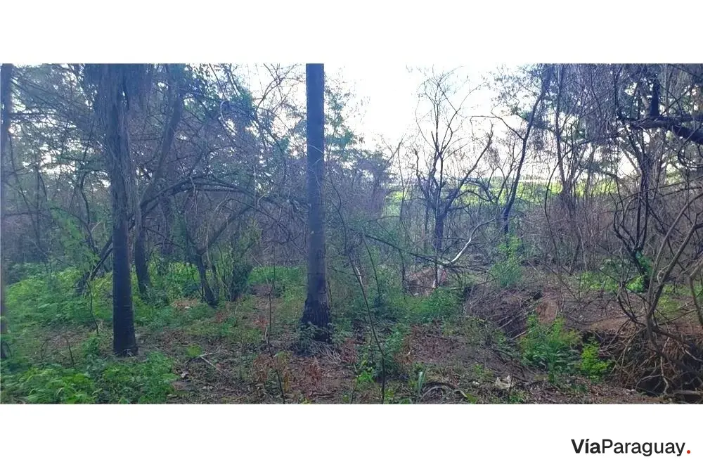Terreno para alugar em Caacupemí, Mariano Roque Alonso
