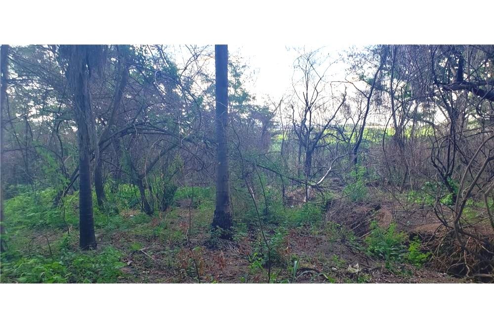 Terreno para alugar em Caacupemí, Mariano Roque Alonso