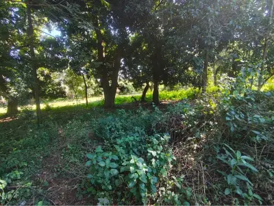 Terreno para alugar em Capiatá, Central