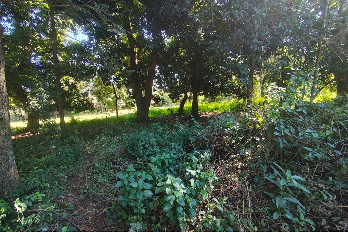 Terreno para alugar em Capiatá, Central
