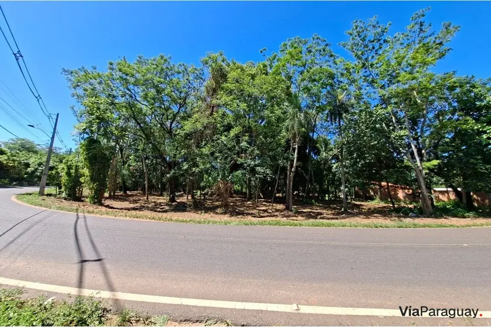 Terreno para alugar em Villa Real, San Bernardino
