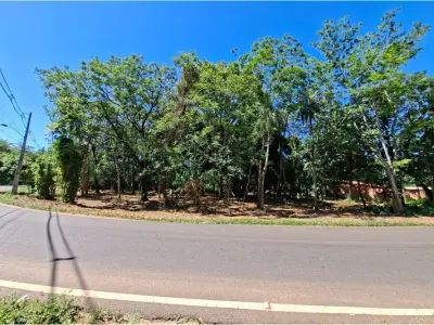 Terreno para alugar em Villa Real, San Bernardino