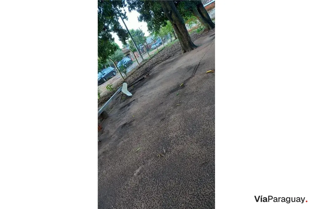 Terreno para alugar para estacionamento em Fernando de la Mora