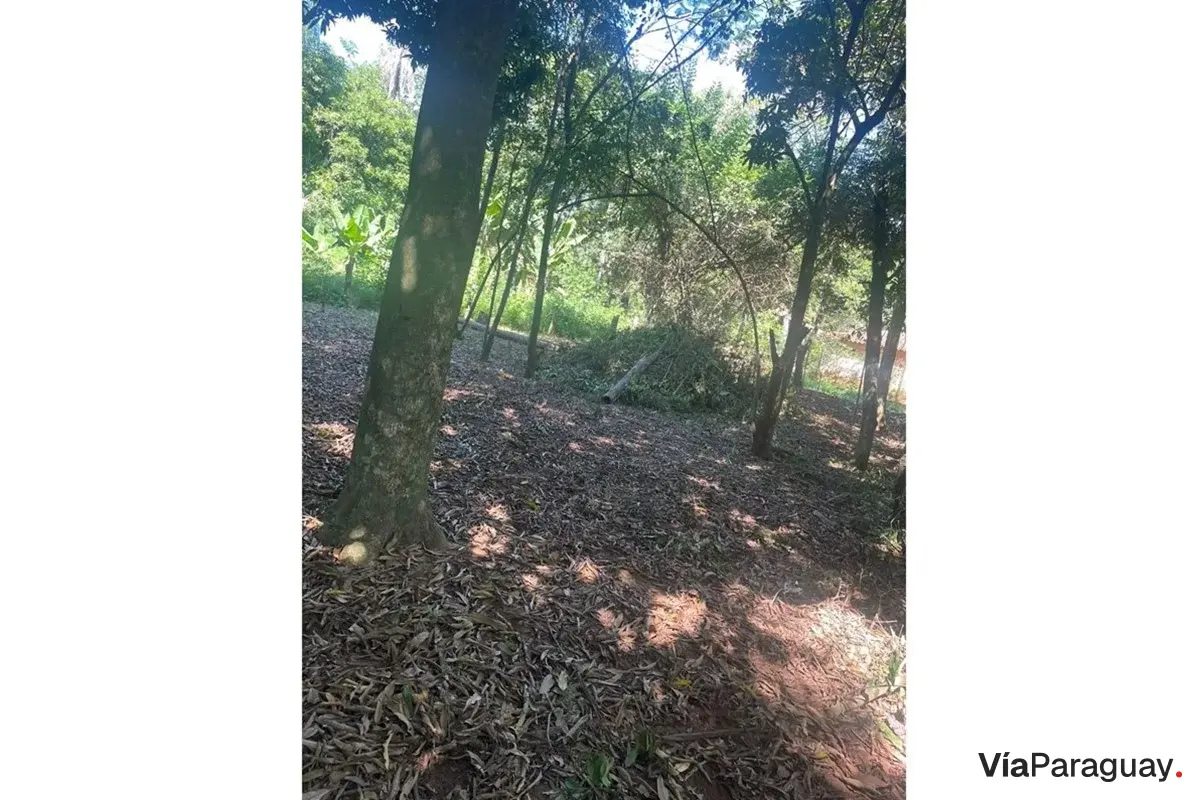Terreno en venta en Caacupé