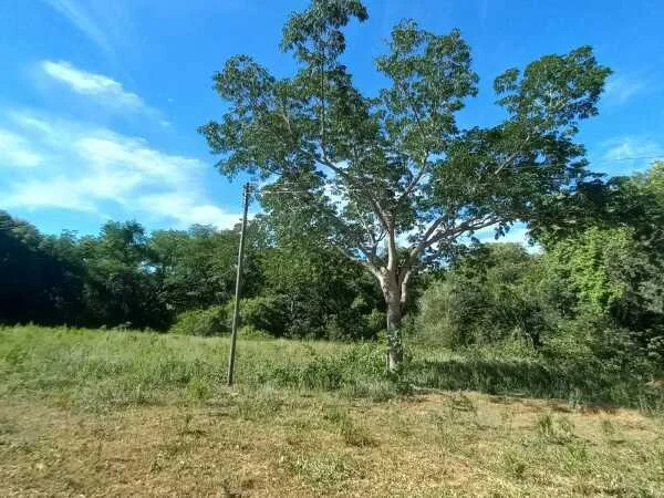 Terreno de esquina de 1.123 m² à venda em Atyrá, Cordillera
