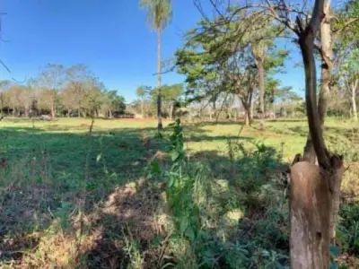 8,139 m² Corner Plot for Sale in Los Nogales, San Lorenzo