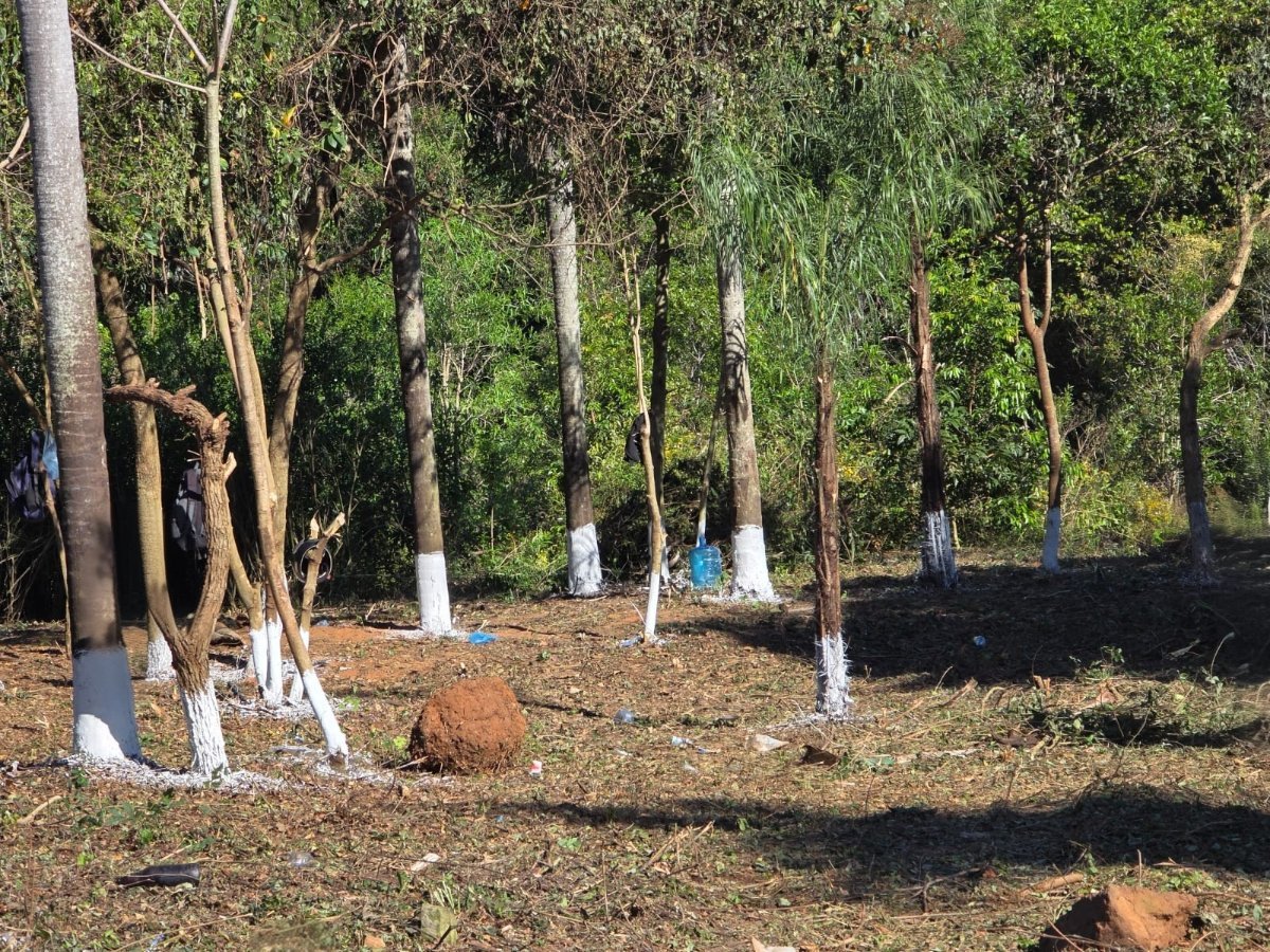 Terreno em esquina à venda em Candia, Atyrá