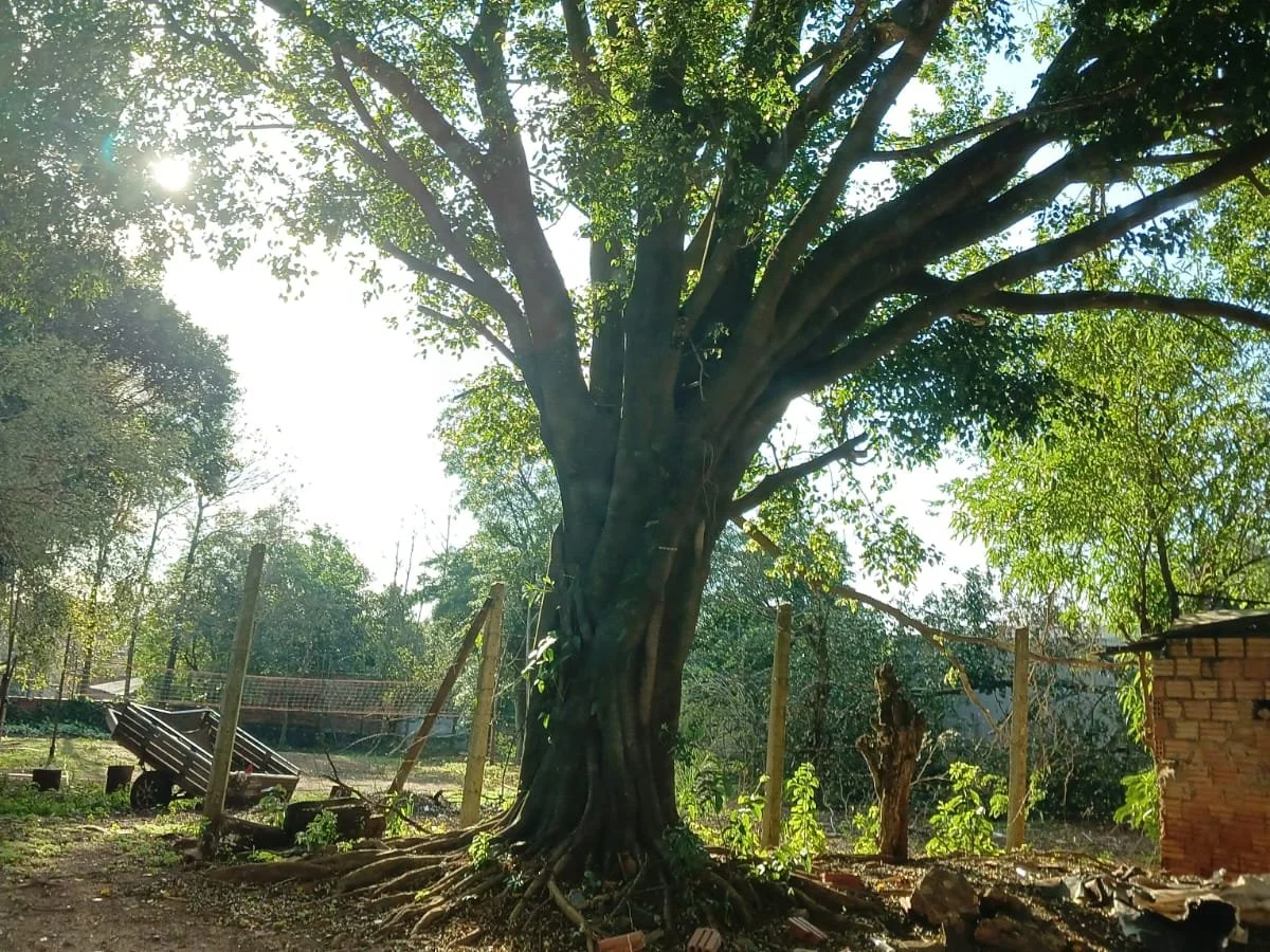 Terreno à venda 1245 m² em San Rafael, Presidente Franco