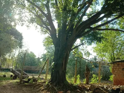 Terreno à venda 1245 m² em San Rafael, Presidente Franco