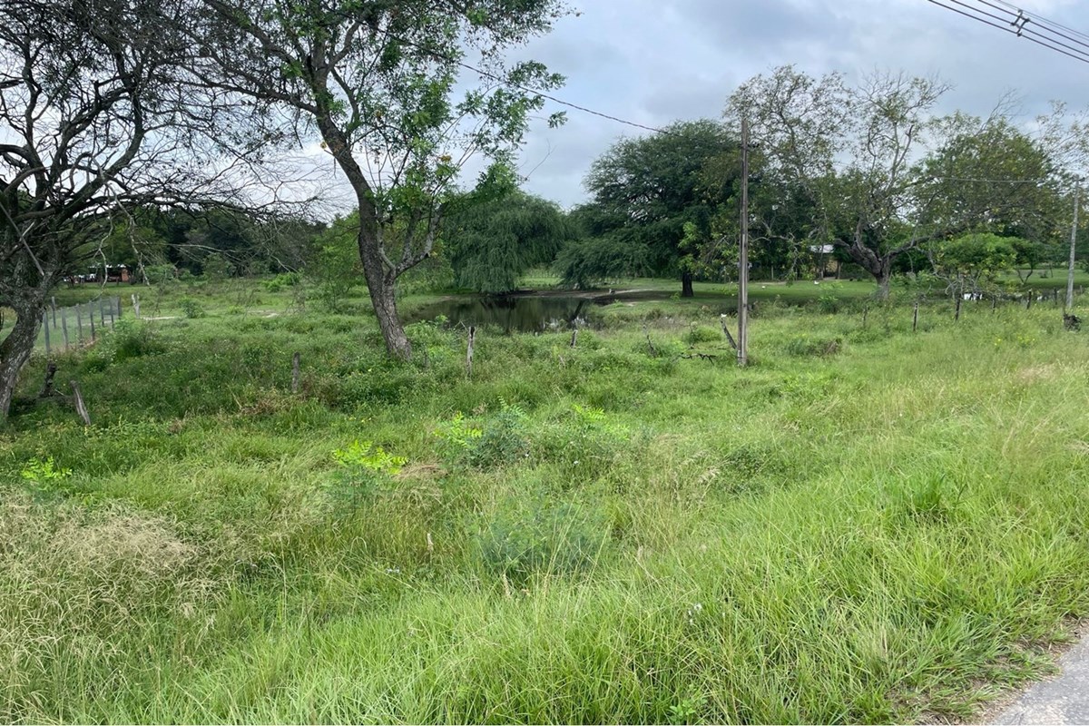 Terreno à venda apto para posto de combustíveis em Villa Oliva