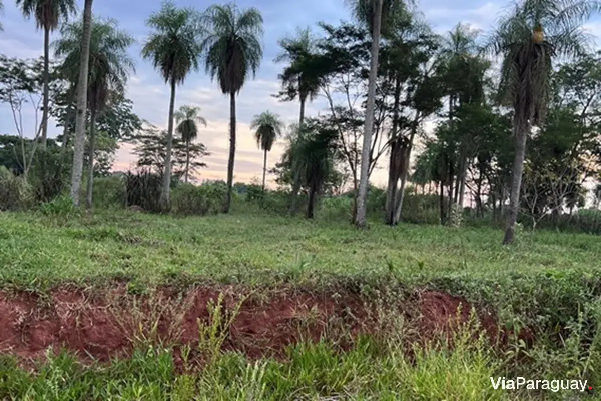Terreno à venda com 15 lotes em Ñu Po'i, Itauguá