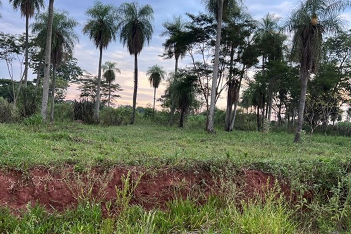 Terreno à venda com 15 lotes em Ñu Po'i, Itauguá