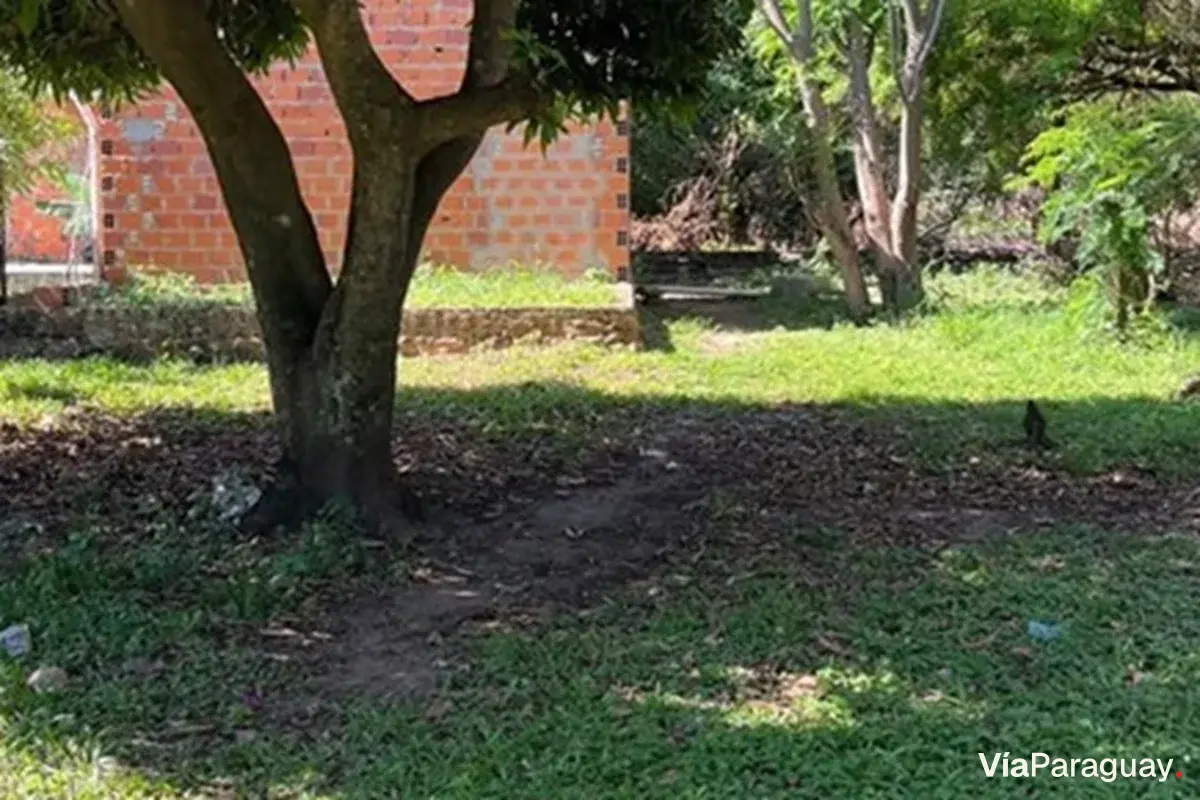 Terreno à venda com construção em Limpio, Isla Aveiro