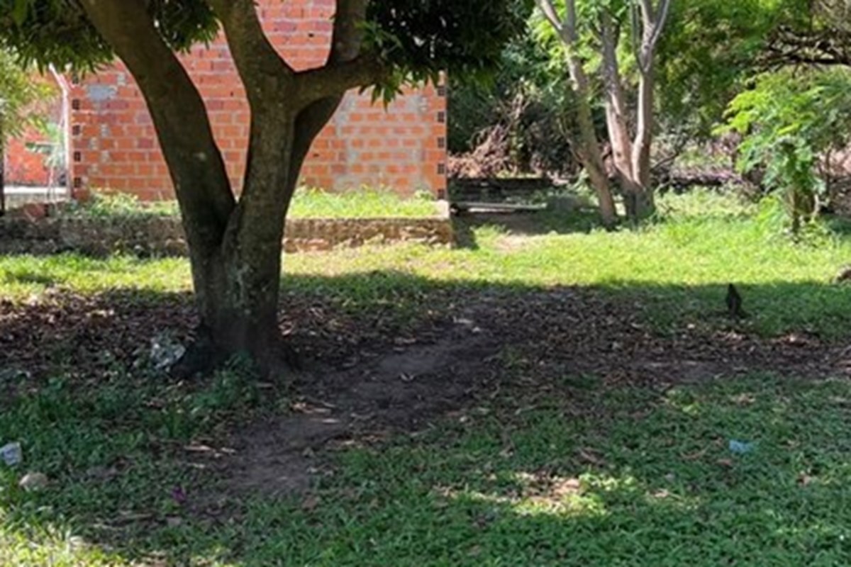 Terreno en venta con construcción en Limpio, Isla Aveiro
