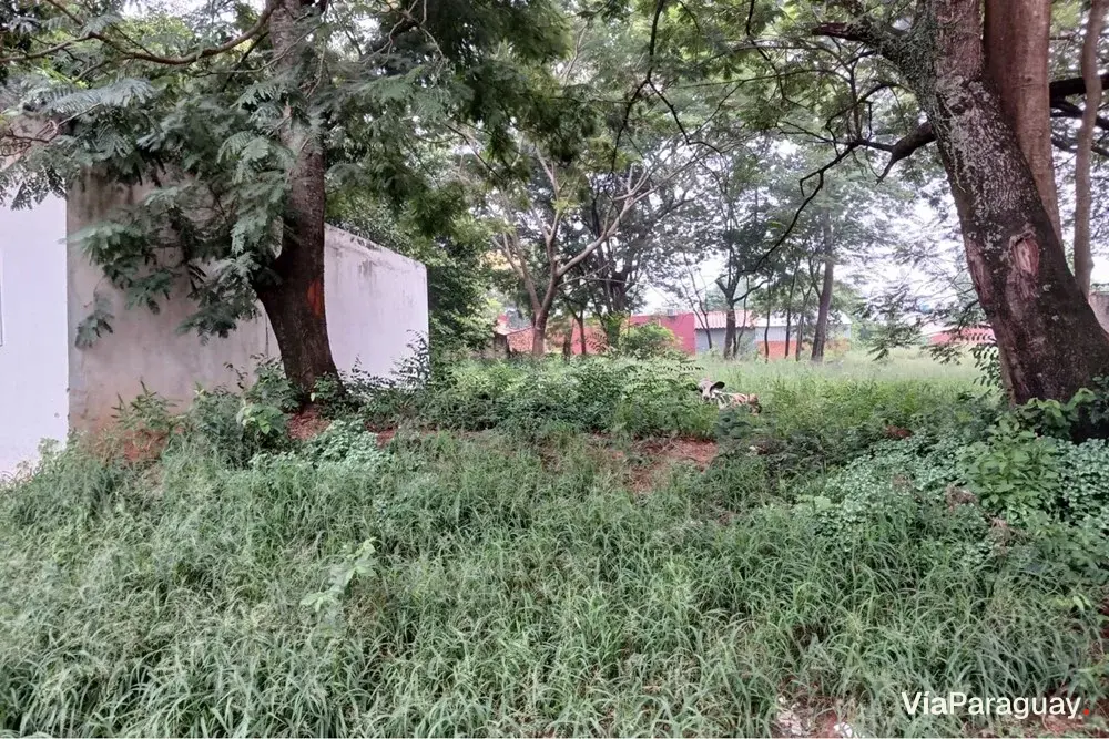 Terreno con salón comercial en venta en Mbokajaty