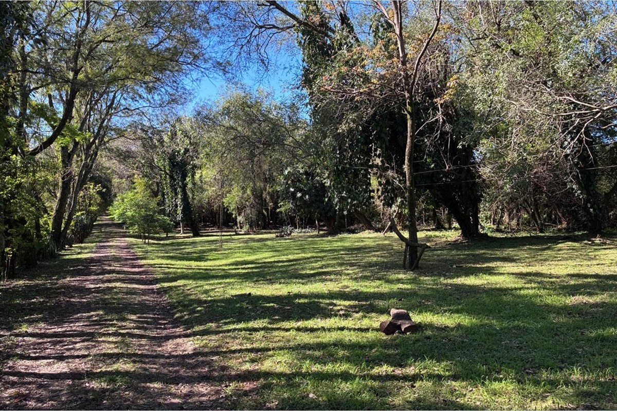 Terreno à venda de 10.000 m² em Encarnación, Itapúa