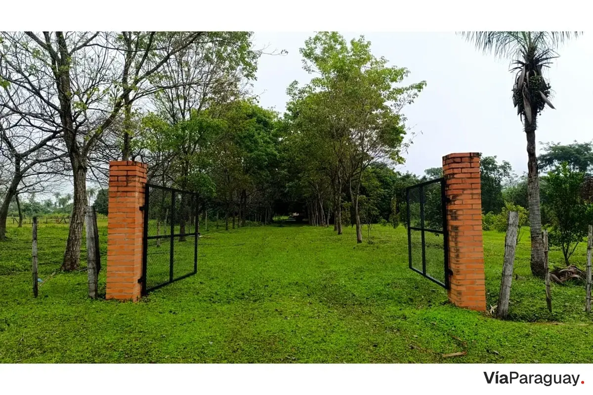 Terreno en venta de 11 hectáreas en Eusebio Ayala