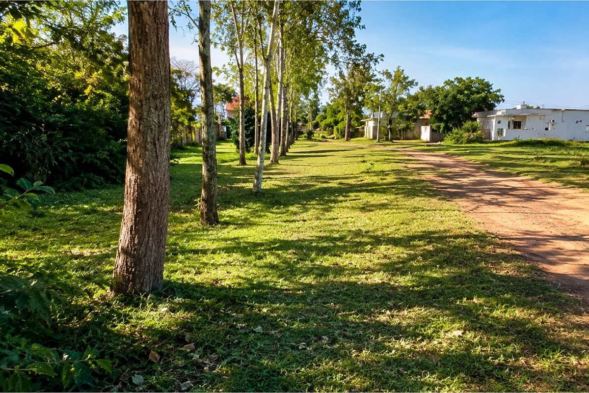 Land for sale of 1,250 m² in Caapucú, Paraguarí