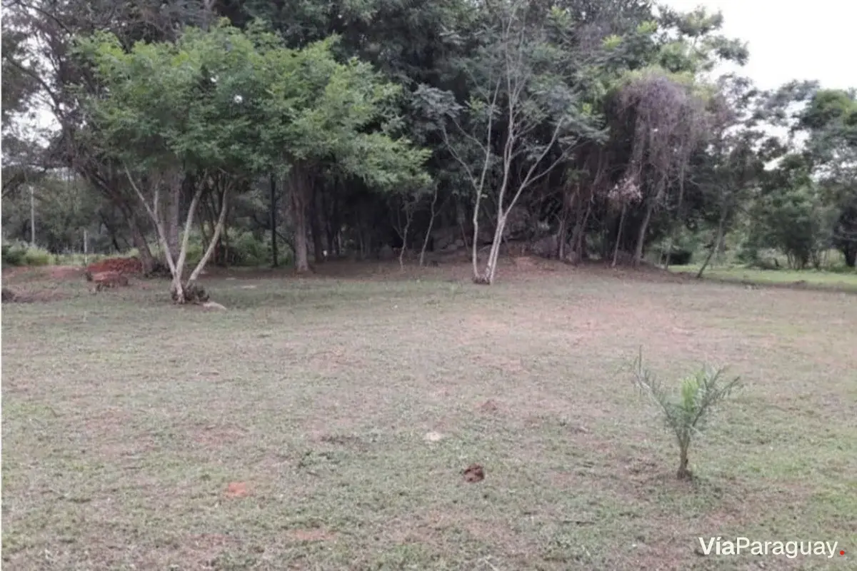 Terreno à venda de 12.801 m² em Luque, Tarumandy