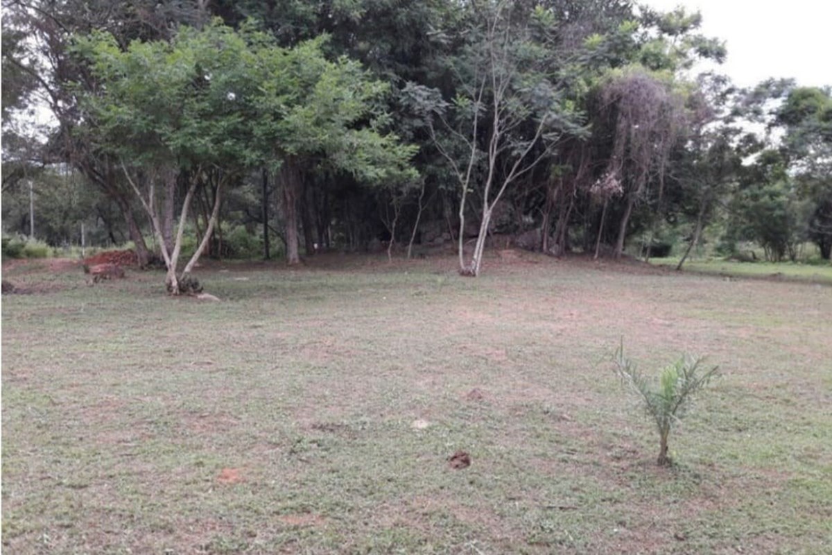 Terreno à venda de 12.801 m² em Luque, Tarumandy