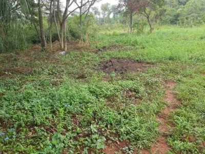 Terreno de 14.000 m² à venda em Itá, Central