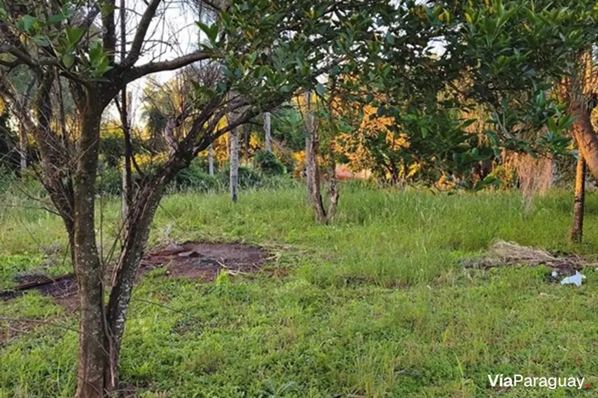 Terreno en venta de 1.491 m² en Naranjaty, Capiatá