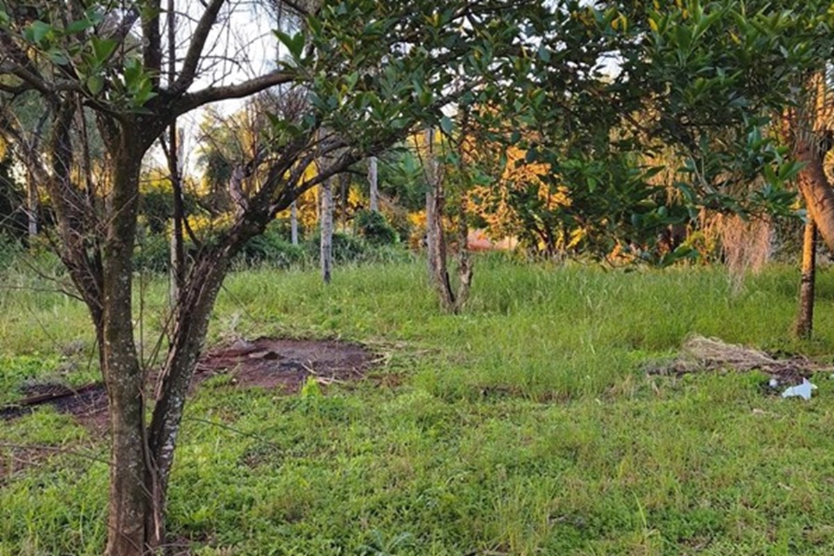 Terreno en venta de 1.491 m² en Naranjaty, Capiatá