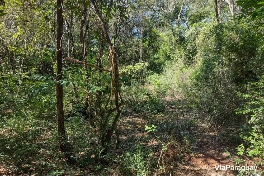 Terreno à venda de 2.084 m² em Kokue Guasu, Areguá
